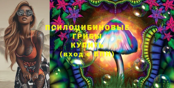индика Алексин