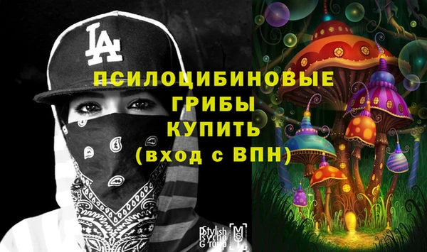 прущие грибы Алексеевка
