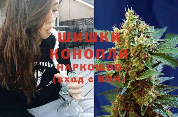 индика Алексин