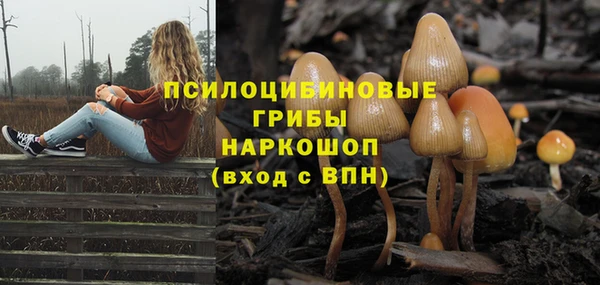 индика Алексин