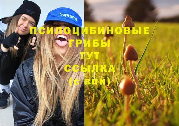 индика Алексин