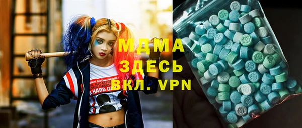 индика Алексин
