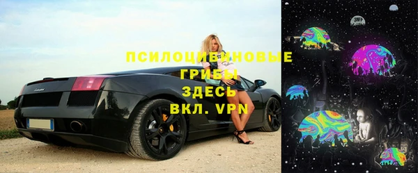 индика Алексин