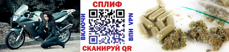Бошки Шишки ГИДРОПОН  Черепаново 